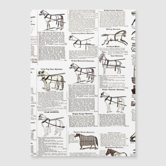 Cheval Antique Publicité Journal Art (Devant)