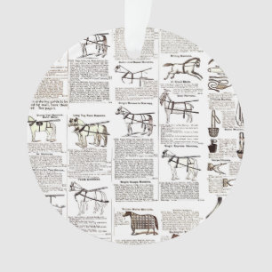 Cheval Antique Publicité Journal Art