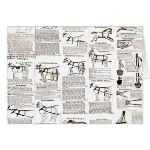 Cheval Antique Publicité Journal Art