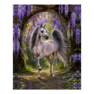 Cheval arabe Affiche brillante Wisteria Violet