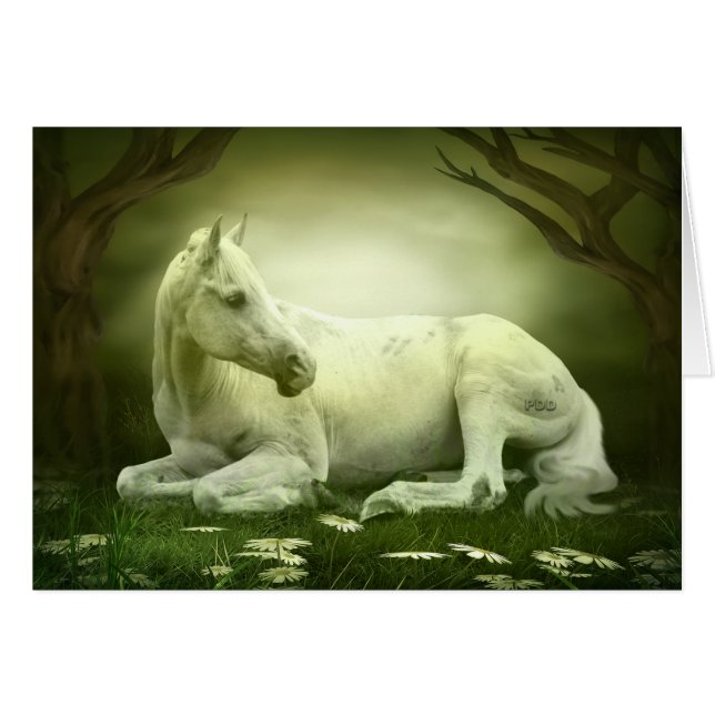 Cheval arabe gris (Devant Horizontal)