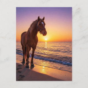 Cheval au coucher de soleil sur la carte postale c