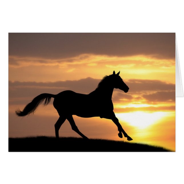 Cheval Au Coucher Du Soleil (Devant horizontal)
