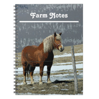 Cheval Belge En Carnet Spiral De Paddock