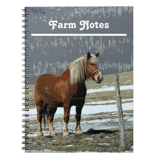 Cheval Belge En Carnet Spiral De Paddock (Devant)