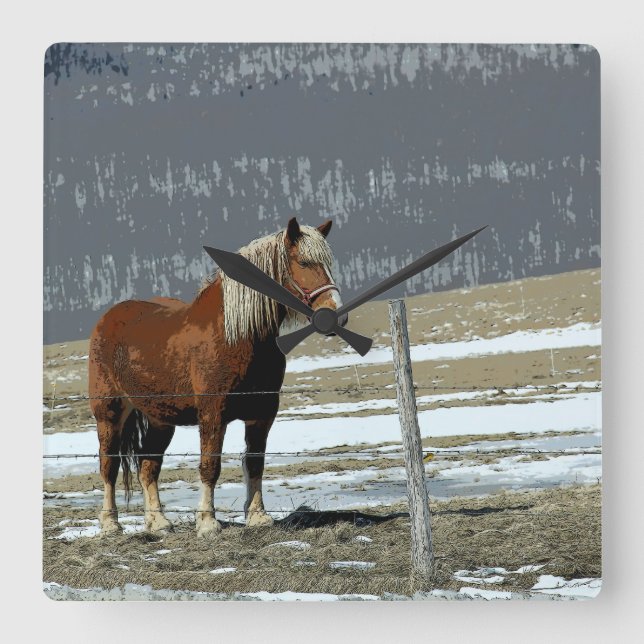Cheval Belge En Paddock Horloge Mur (Recto)