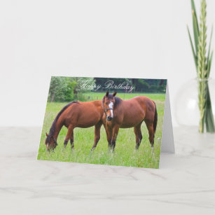 Cheval belle carte d'anniversaire des chevaux pers