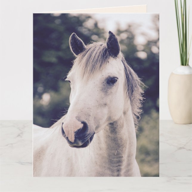 CHEVAL BLANC BIENTÔT BIENVENUE Cartes de voeux (Devant)