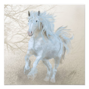 Cheval Blanc - élargissement photo