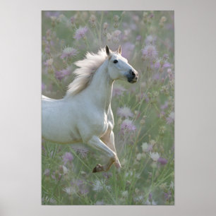 Cheval blanc en fleurs poster