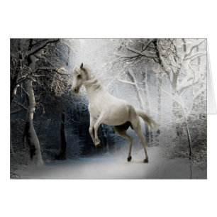Cheval blanc en neige
