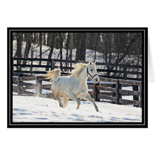 Cheval blanc galopant