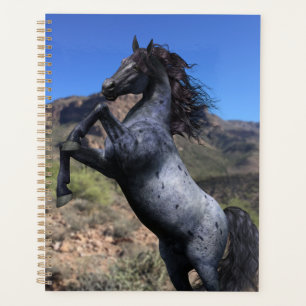 Cheval bleu de la route Élevage dans le désert