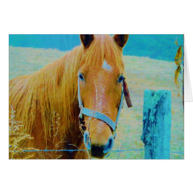 Cheval bleu Denim teinté (Devant horizontal)