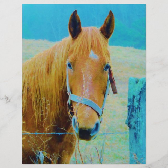 Cheval bleu Denim teinté (Devant)