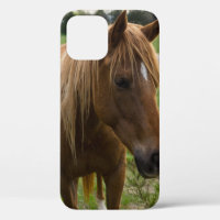 Cheval Bonjour coque iphone