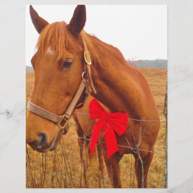 Cheval Brown Bow (Devant)