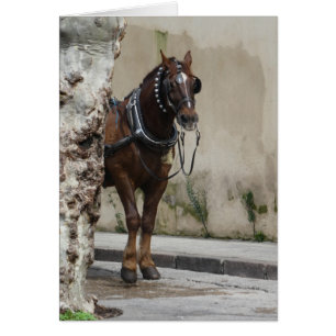 Cheval Brown, Carte de voeux intérieure blanche