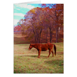 Cheval Brown dans un champ d'herbe