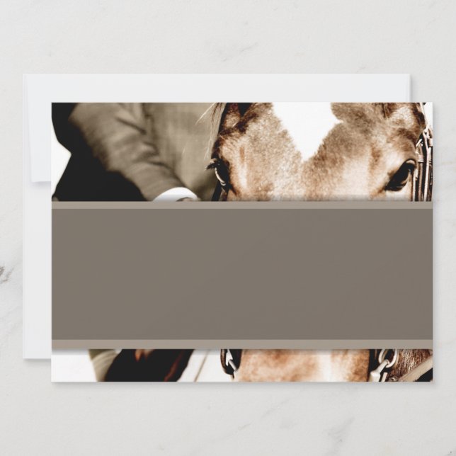 Cheval Brown et Blanc (Devant)