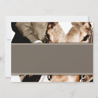 Cheval Brown et Blanc