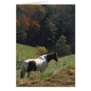 Cheval Brown et blanc à l'étang d'automne