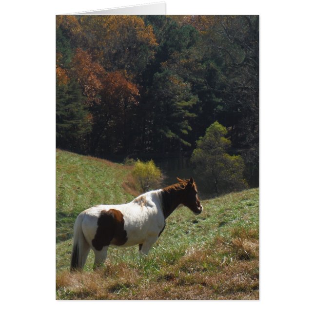 Cheval Brown et blanc à l'étang d'automne (Devant)