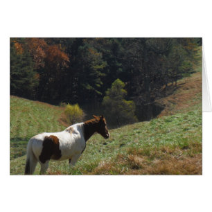 Cheval Brown et blanc à l'étang d'automne