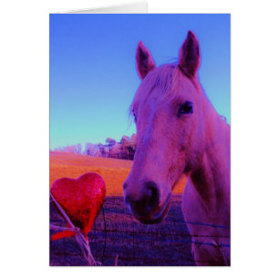 Cheval Brown et Coeur Rouge