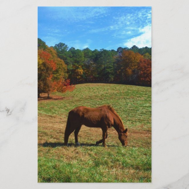Cheval Brown rouge, arbres de chute, ciel bleu (Devant)