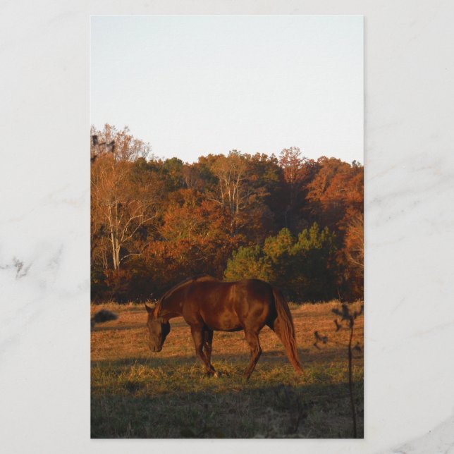Cheval Brown rouge, bois d'automne. (Devant)