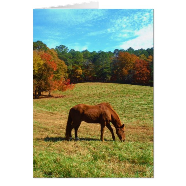 Cheval Brown rouge, ciel bleu Turquoise (Devant)