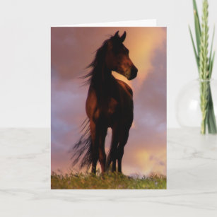 Cartes Cheval D Anniversaire Zazzle Fr