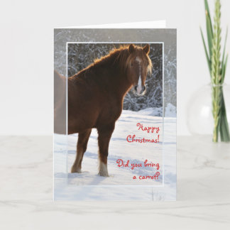 Cheval dans la carte de Noël de neige