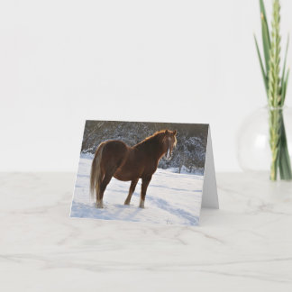 Cheval dans la carte de Noël de neige