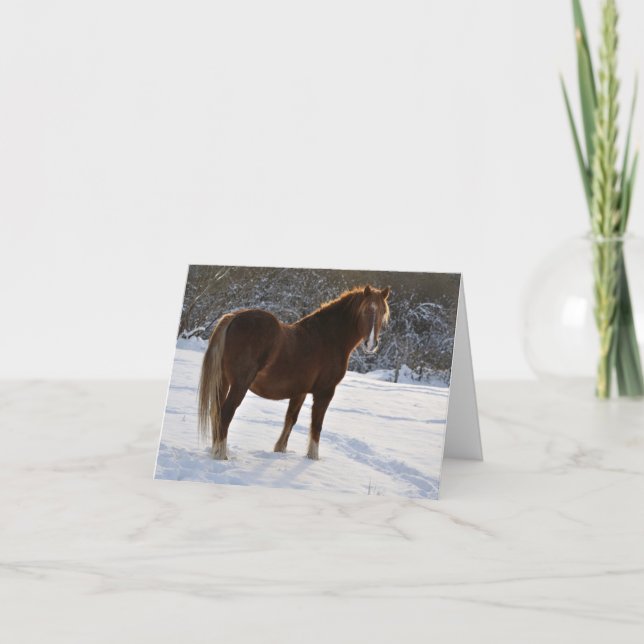 Cheval dans la carte de Noël de neige (Devant)