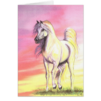 Cheval d'Arabe de coucher du soleil
