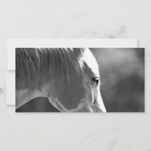 Cheval d'art pop noir et blanc