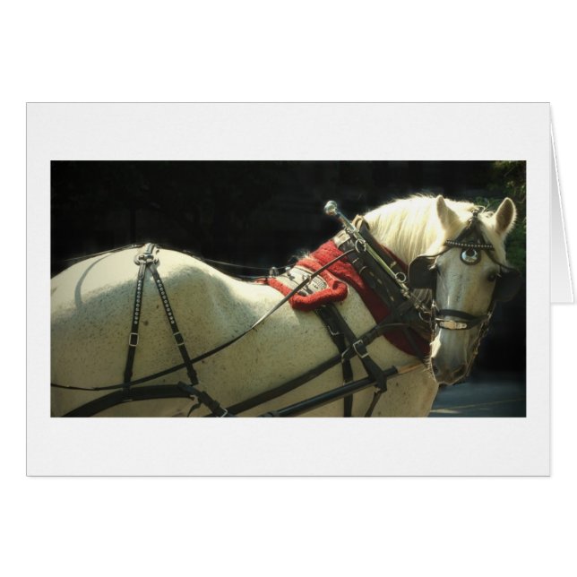 Cheval de chariot (Devant horizontal)