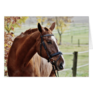 Cheval de châtaignes avec lame, Bridle, en Pâturag