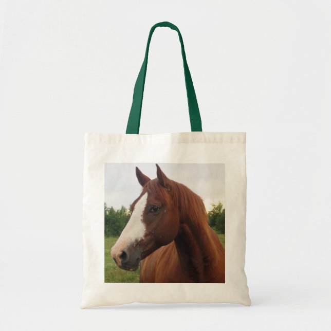 Cheval de châtaignes avec Sac fourre-tout de lame (Devant)