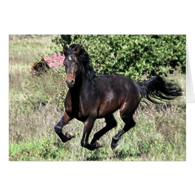 Cheval de châtaignier à galop (Devant horizontal)
