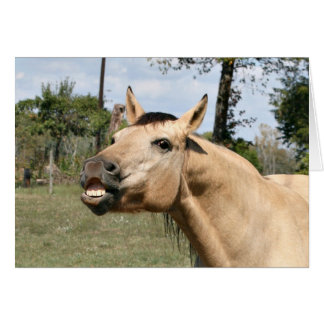 Cheval de discussion