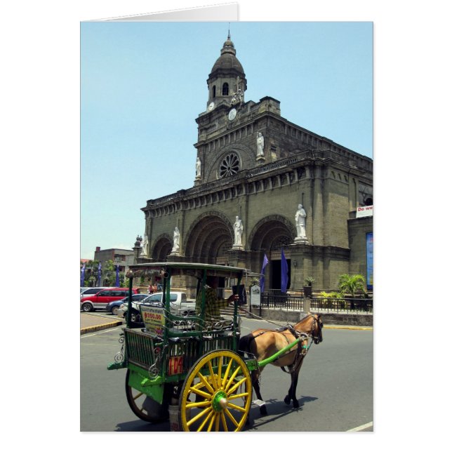 cheval de la cathédrale de manila (Devant)