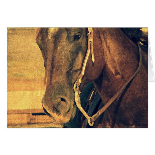 Cheval de l'Ouest (Devant horizontal)