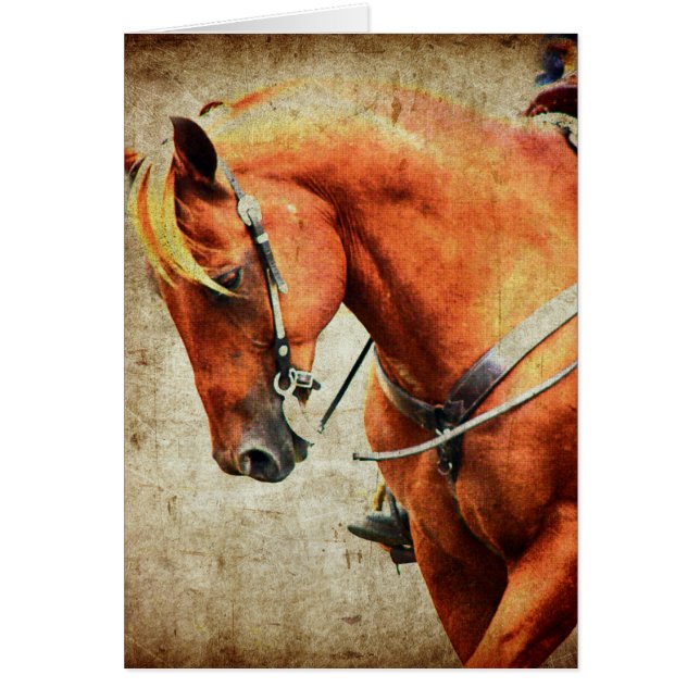 Cheval de l'Ouest (Devant)
