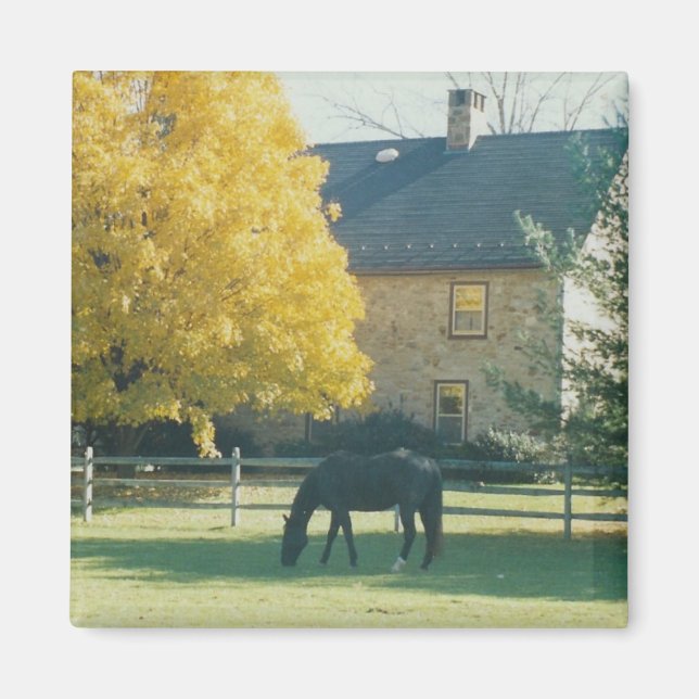 Cheval de pays - aimant (Devant)