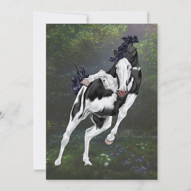 Cheval de peinture à ciel ouvert noir et blanc Imp (Devant)