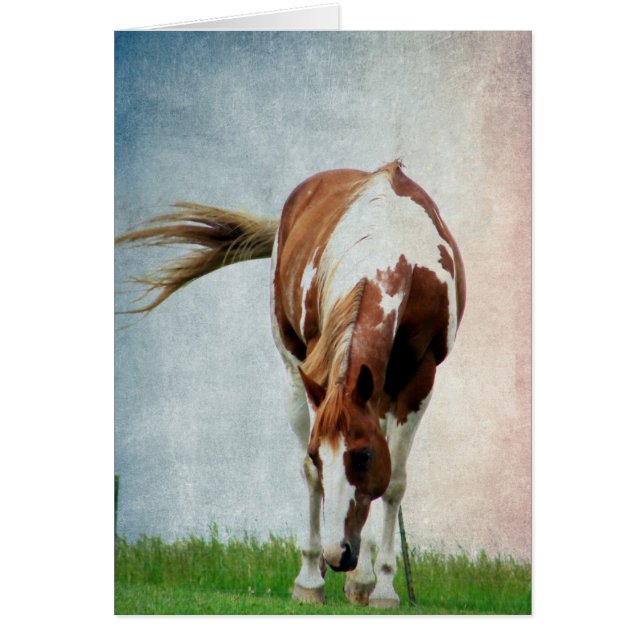 Cheval de peinture clinquant Mare (Devant)