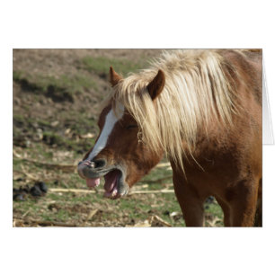 Cheval de rire